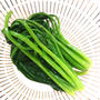 ほうれん草の下処理あくぬき