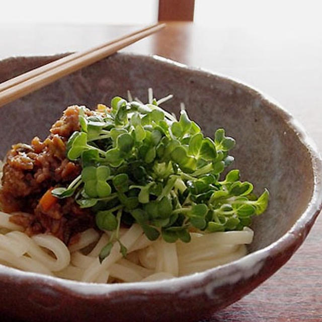 あるもので・・・肉味噌たっぷり冷やしうどん＆にゃ♪