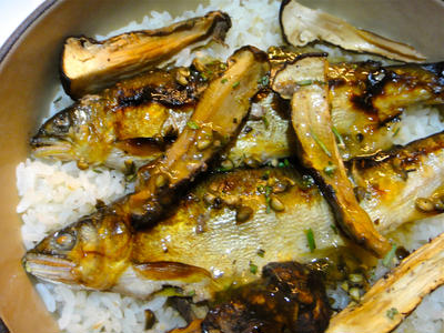 鮎と焼松茸の炊き込みご飯、のっけてジュレ柚子こしょうポン酢かけ
