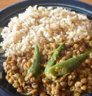 肉なしでも絶品 豆が主役のスパイスカレーレシピ くらしのアンテナ レシピブログ