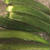 オクラの茹で方
