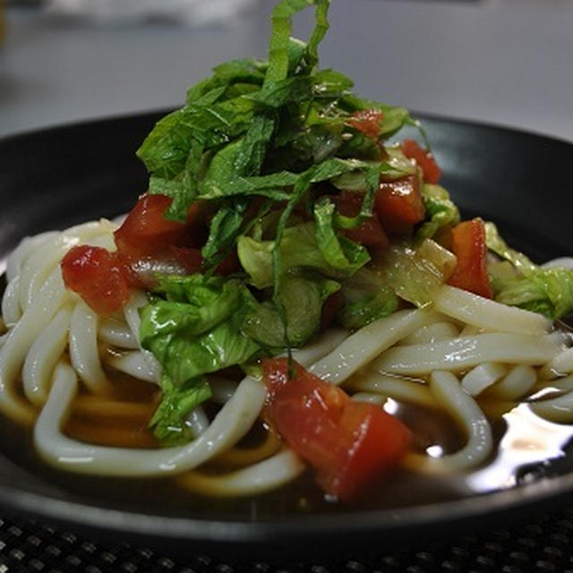 サラダうどん