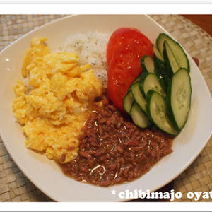 ひき肉のあんかけご飯