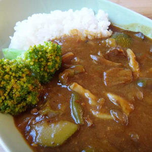 スパイシー夏野菜カレー 