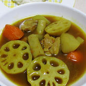根菜のスープカレー