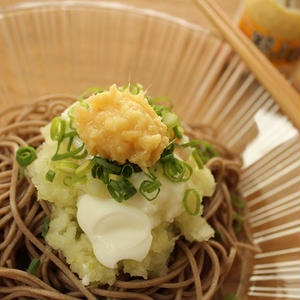 粗切り生しょうがのせおろし蕎麦