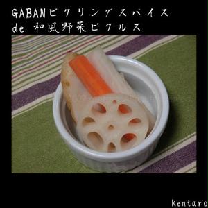 GABANピクリングスパイス de 和風野菜ピクルス