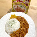トマトキーマカレー