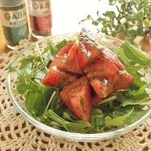 トマトと水菜のパクチー花椒塩ドレサラダ