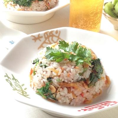 桜海老と香菜のガーリックオニオン炒飯 のレシピ みんなのスパイスレシピ大集合サイト スパイスブログ