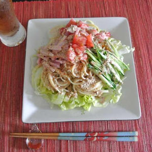 ピリ辛!胡麻だれ　サラダ麺