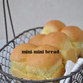 ミニミニ食パン