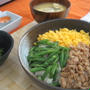 6月10日　定番!わが家の3色そぼろ丼♪