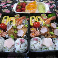 そして今日もお花見弁当！！ by だむこさん