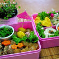お花見と、後は詰めるだけ〜の♪お花見弁当* by Mayu*さん