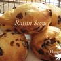 レーズンスコーン　　Raisin Scones