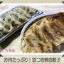 餃子の研究第一弾！