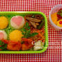 女子高生のカラフルなお弁当