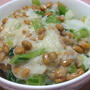 野沢菜と納豆のおろしネバネバ丼