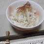 美肌ごはん！！『生姜のはと麦ごはん』