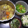 今日の晩御飯：貧乏メニュー(肉じゃが、白菜の酢ものやまいも短冊）