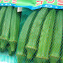 オクラ - ネバネバ系の食材(ムチン)を夏の健康づくりに♪