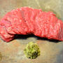 馬刺し　天然山葵添え