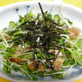 カイワレと鯵の味醂干しのサラダ by Amaneさん
