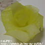 大根のお花酢の物。ターメリック風味。
