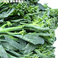 スティックセニョール(茎ブロッコリー) - クセの無い菜の花のようなお野菜 by 荻窪 鈴木青果店さん