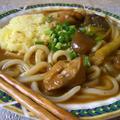 冷たい!?カレーうどん!! by マムチさん
