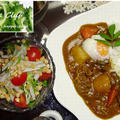 横濱舶来亭★カレーうどん&鮭塩昆布おにぎり＆ゴーヤカレー by chiibooさん