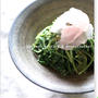 水菜の♪　ピーナッツバター　&　ぽん酢あえ　：9　♪
