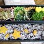 桜咲く弁当