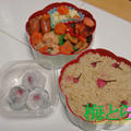お花見弁当2010 by 梅とらさん