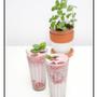 Frozen Berry Berry shake