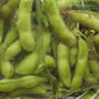 枝豆の茹で方 - コツは旨味を逃がさない事