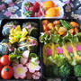 芦屋国際ファンラン・・・の花見弁当(≧ヘ≦）