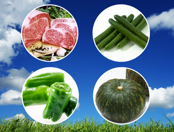 ネクストフーディスト5期生限定!「宮崎牛 ももスライス」と「宮崎県産の野菜セット」で作る「我が家のアイデアおかず」