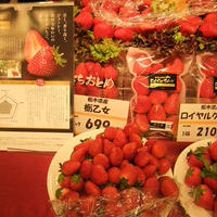 西武渋谷店食品館　professional& new foods【フルーツ・ワイン編】